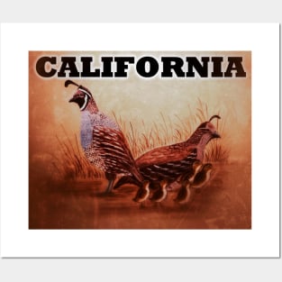 California Quail Posters and Art